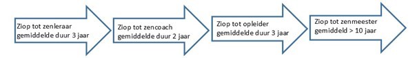 stroomdiagram dat de structuur van de opleiding verbeeld